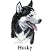 Siberian Husky Cordial - Shot Glass