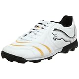 [プーマ] PUMA パワーキャット 4.10 TT JR
