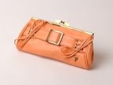 Sensational Vegan Clutch 