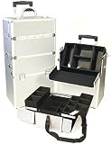 41aKhMevOML. SL160  Professional Cosmetic Case in Silver