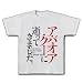 ア・バオア・クーに逝ってきました。 Tシャツ(アッシュ) M