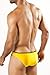 Joe Snyder Bikini Pride Frame