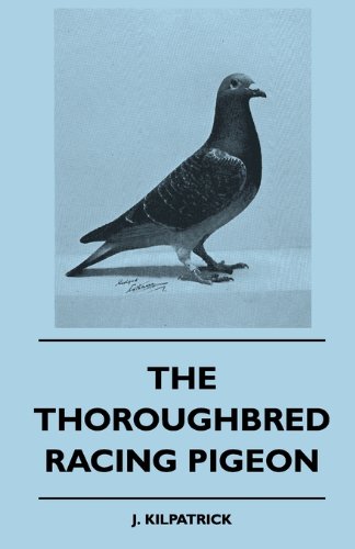 The Thoroughbred Racing Pigeon