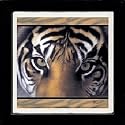 Set of Four Eyes of the Goddess Ambiance Coasters - Style ANAX1