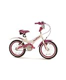 Review Universal Cycles  / 16