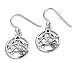 The Druid's Amulet - Triquetra Knot and Pentacle Sterling Silver Earrings