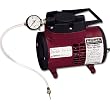 RL Flo-Master Heavy Duty Electric Inflator