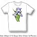 Iris - Flowers, Birds and Gardens Women's Cut T-Shirt