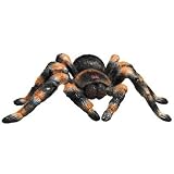 Buy Discovery Exclusive Radio Control Tarantula by Discovery Channel