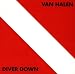 Van Halen Diver Down tabs review