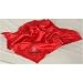 North Carolina State Wolfpack NCAA Baby Blanket