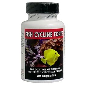 Fish Cycline Forte (Tetracycline) 500mg (30 tablets)