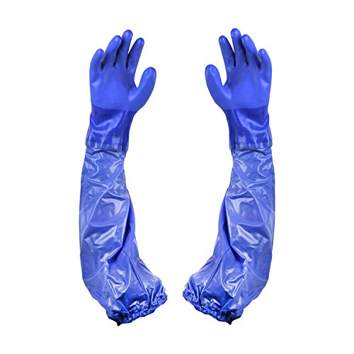 Top 5 Best shoulder length gloves for sale 2016 Product BOOMSbeat