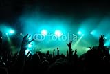 Wallmonkeys Peel and Stick Wall Decals - Cheering Crowd at Concert - 24"W x 16"H Removable Graphic