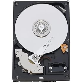 WESTERN DIGITAL 3.5�C���`����HDD Serial-ATA3.0Gb 5400rpm 1TB 16MB WD10EACS