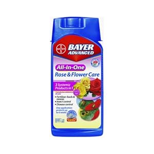 Amazon.com: Bayer 701260B 32-Ounce All in