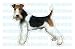 terrier25 - WIRE FOX TERRIER Dog Decal sticker car got
