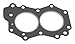 Sierra 18-2961 Marine Head Gasket for Johnson/Evinrude Outboard Motor
