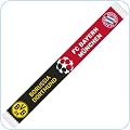 Fan-Schals