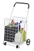 41aN4pLYzVL. SL75  Honey Can Do CRT 01513 Large Folding Shopping Cart Rolling 4 Wheel Utility Wagon, White