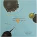 Mademoiselle de Margaux Grapes Soaked in Rum 6.7 oz