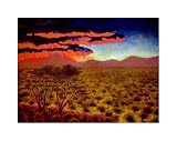 African Sunset Art Giclee Poster Print by John Newcomb, 20x16