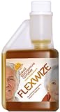 Flexwize Liquid Glucosamine Complex 275ml