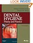 Dental Hygiene: Theory and Practice, 3e