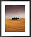 Cypress Trees in Tuscan Field, Val d'Orcia, Siena Province, Tuscany, Italy Photography Framed Art Poster Print by Sergio Pitamitz, 18x22