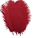 Shekyeon Red 10-12inch 25-30cm Ostrich Feather Home Decoration DIY Craft Pack of 10