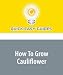 How To Grow Cauliflower