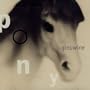Pony