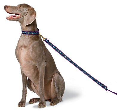 Fido Finery Leashes for Dogs 1