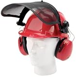 FORESTRY HELMET