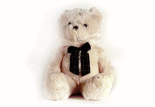 Childrens Toyshop  Used : Soft Teddy Plush Bear