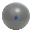 Gaiam The Biggest Loser Stability Ball - Gray