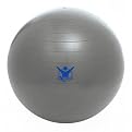 Gaiam The Biggest Loser Stability Ball - Gray