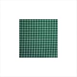 Green and White Plaid Toss Pillow by 