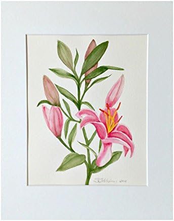 Asiatic Lily Original Watercolor 11x14 Frame Ready