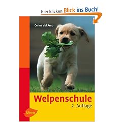 Welpenschule (Heimtiere): Der sanfte Weg zum Familienhund. 22 Umweltabenteuer, �bungspl�ne