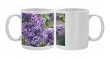 Lilac (Syringa vulgaris) Photo Mugs