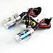 Xenon HID H11 6000k replacement Bulbs