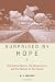 Surprised by Hope: Rethinking Heaven, the Resurrection, and the Mission of the Church