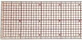 C-thru Ruler 2 X 18 8ths Graph Beveled Rulers