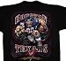 Houston Texans Big and Tall Runningback tee