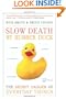 Slow Death by Rubber Duck: The Secret Danger of Everyday Things