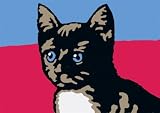 Eigenschaften Ravensburger 28668 / Kater Felix & Katze Nele Malen nach Zahlen
