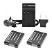 ecoEfficiency ® 2-Pack Panasonic DMW-BCM13 Lithium-Ion Batteries and 1 AC Charger Kit for Panasonic Lumix DMC-TS5 DMC-ZS30 DMC-TZ40 Digital Camera