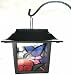Hummingbird Solar Garden Decorative Light Set