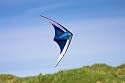 HQ 2 Leiner Sportlenkdrachen Bolero cool, 163 cm Durchmesser, ready to fly